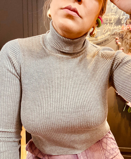 Cropped turtleneck
