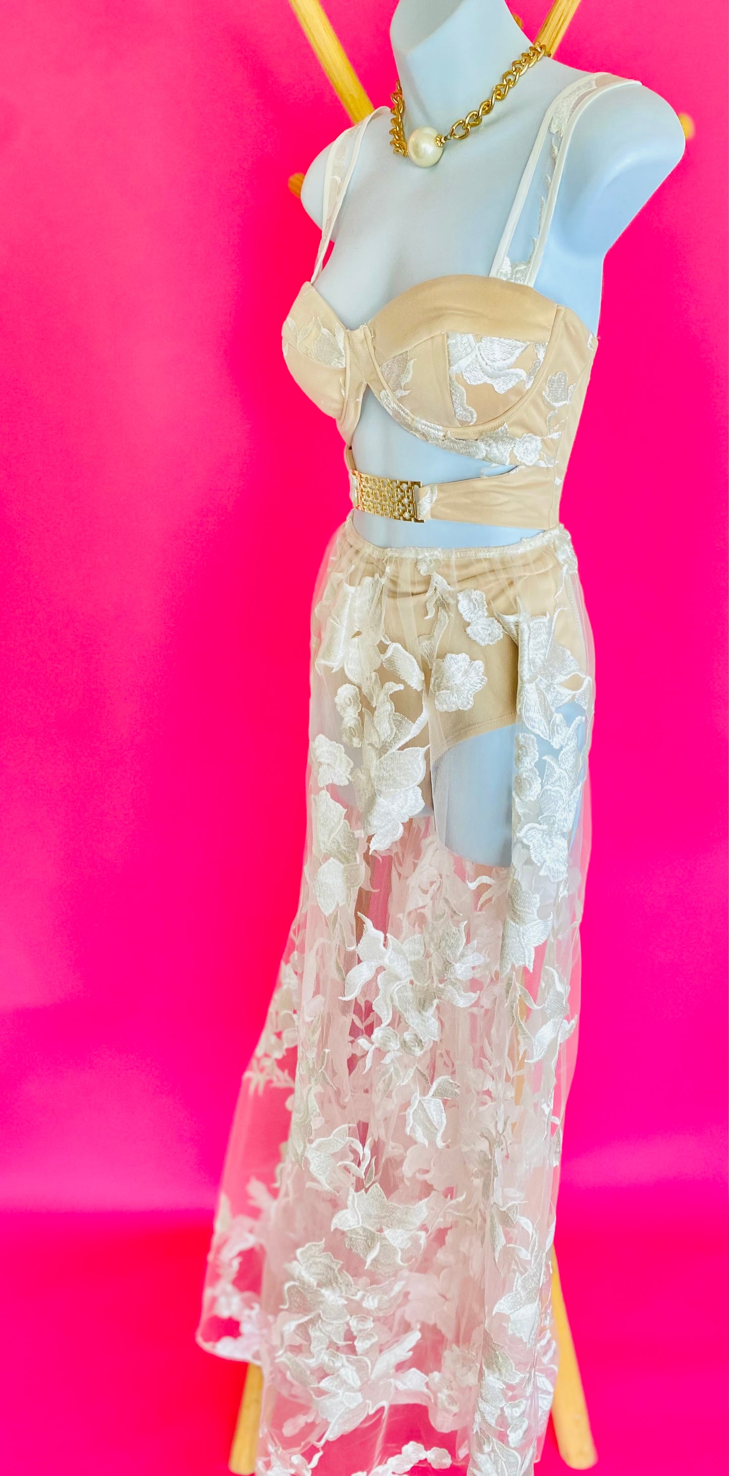 Lace mesh elegant dress